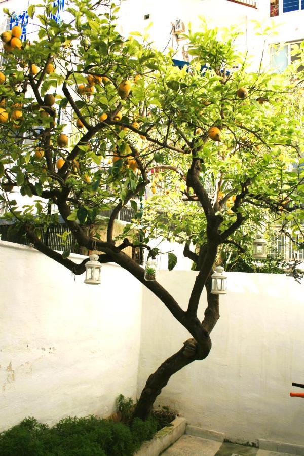 בארי Willkommen In Einem Private Garden מראה חיצוני תמונה